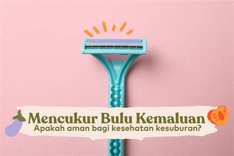 cukur jembut|Cara Mencukur Bulu Kemaluan yang Tepat